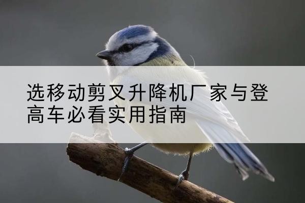 银州电动升降机厂家-选移动剪叉升降机厂家与登高车必看实用指南