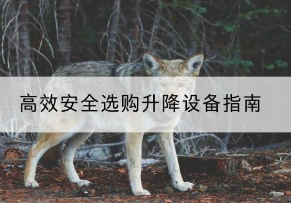 银州升降货梯厂家推荐-*安全选购升降设备指南