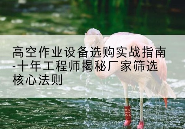 银州剪叉式升降机厂家-高空作业设备选购实战指南-十年工程师揭秘厂家筛选核心法则